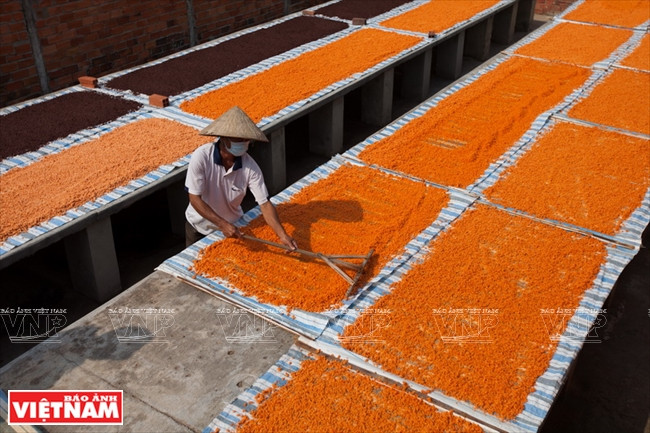 Đặc sản muối Tây Ninh: Khi hạt muối không chỉ là mặn ảnh 1