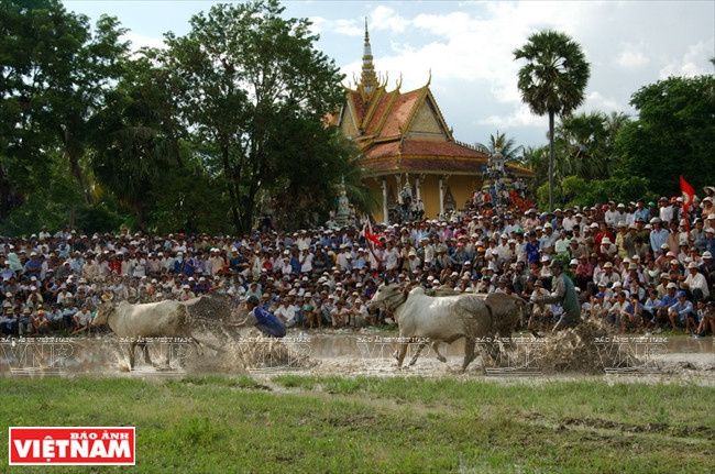 Lễ hội đua bò Bảy Núi của đồng bào Khmer ở huyện Tịnh Biên Cuộc sống ấm no, bình yên và thắm tình người nơi biên giới An Giang ảnh 16