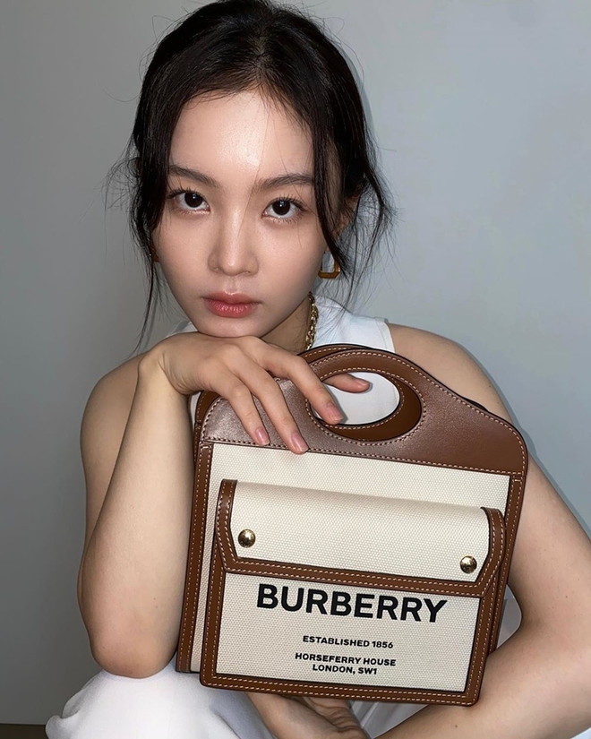 Pocket Bag - tuyệt phẩm túi của Burberry "khuynh đảo" dàn sao thế giới ảnh 13