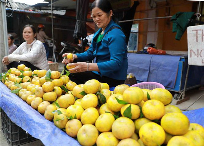 Sửa đổi Luật Sở hữu trí tuệ: Đáp ứng yêu cầu thực tiễn và hội nhập ảnh 2
