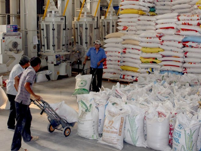 Bốc xếp gạo xuất khẩu. (Ảnh: TTXVN) Việt Nam và Algeria đặt mục tiêu kim ngạch hai chiều lên 1 tỷ USD ảnh 1
