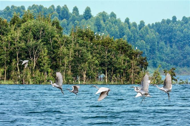 Khám phá "vịnh Hạ Long trên núi cao" của vùng Tây Bắc ảnh 2