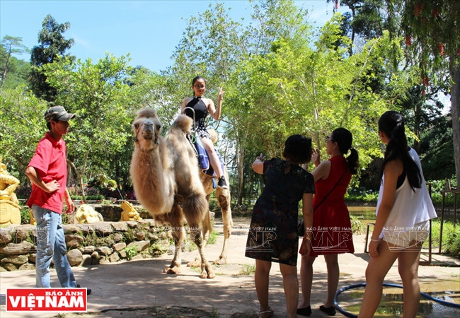 Thác Prenn - nét duyên của nàng thiếu nữ nơi sơn cước ảnh 10