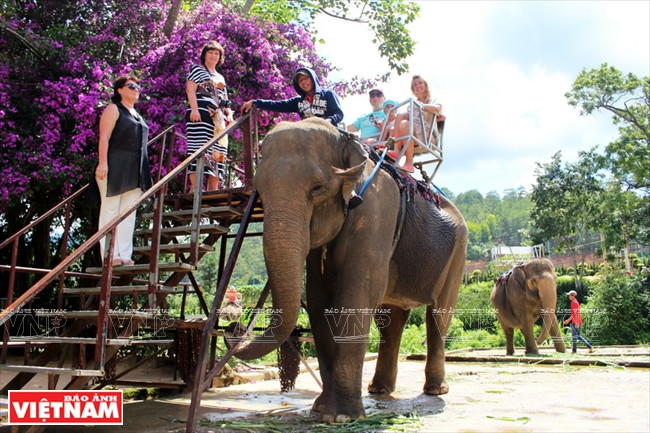 Thác Prenn - nét duyên của nàng thiếu nữ nơi sơn cước ảnh 11