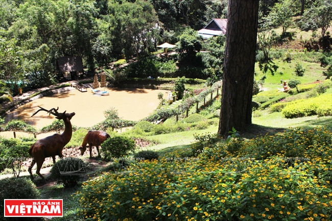 Thác Prenn - nét duyên của nàng thiếu nữ nơi sơn cước ảnh 8