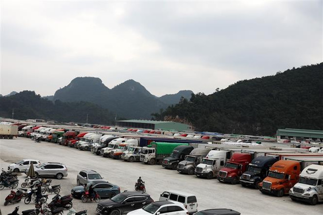 Giảm chi phí, hỗ trợ doanh nghiệp bị ùn tắc hàng ở cửa khẩu Lạng Sơn ảnh 1