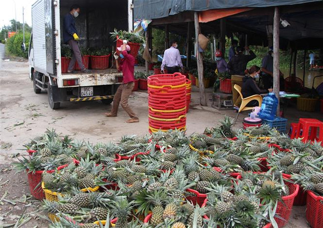 Ứng dụng công nghệ số trong kết nối cung cầu sản phẩm nông nghiệp ảnh 1