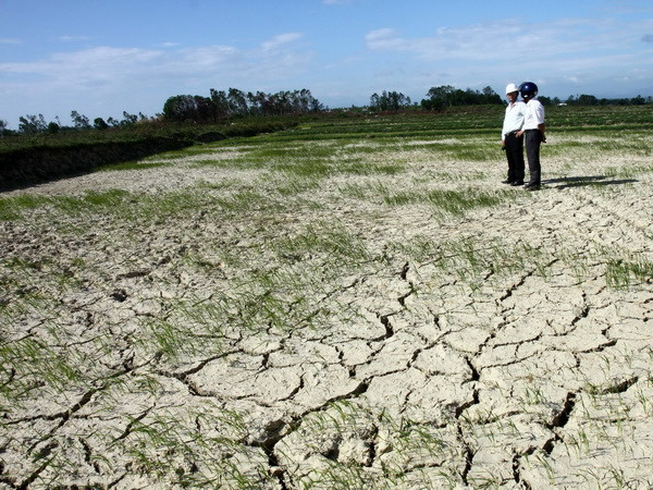 Hà Giang thiệt hại gần 100 tỷ đồng do thời tiết khô hạn ảnh 1
