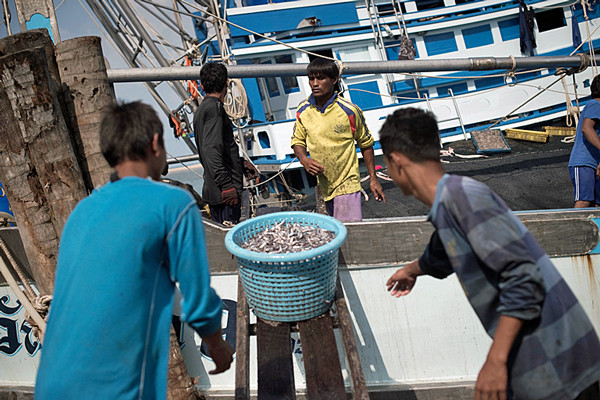 Thái Lan tạm thời cho phép lao động nghề cá nước ngoài ảnh 1