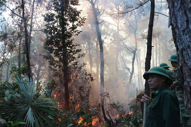 Quảng Ngãi cơ bản khống chế vụ cháy rừng tại huyện Đức Phổ ảnh 1