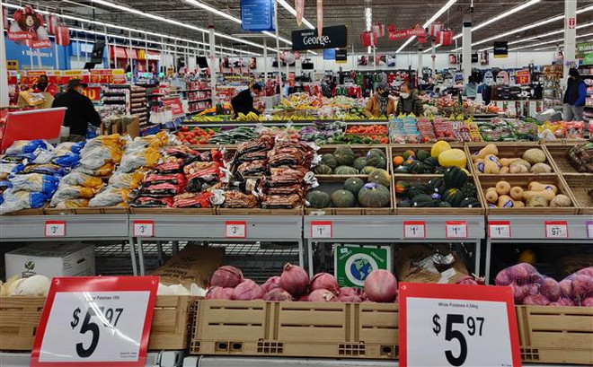 Hợp tác kinh tế là động lực của quan hệ đối tác Việt Nam-Canada ảnh 2