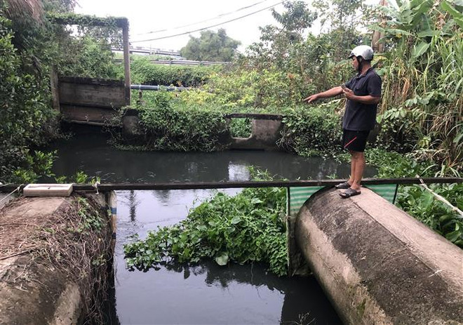 Dự án chưa được chấp thuận đầu tư đã hoạt động, gây ô nhiễm môi trường ảnh 2