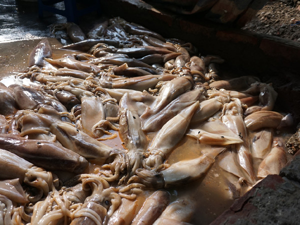 Bắt quả tang xưởng tẩy trắng mực ôi bằng hóa chất ở quận Tây Hồ ảnh 2