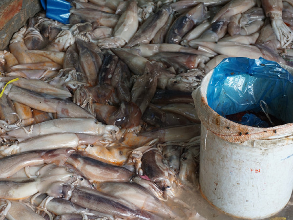 Bắt quả tang xưởng tẩy trắng mực ôi bằng hóa chất ở quận Tây Hồ ảnh 4