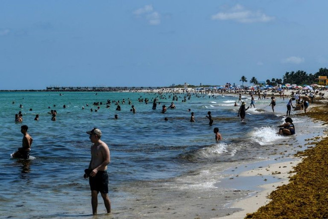 Bãi biển ở thành phố Miami. (Nguồn: AFP) Một số bang của Mỹ nối lại hoạt động vui chơi và giải trí ảnh 1