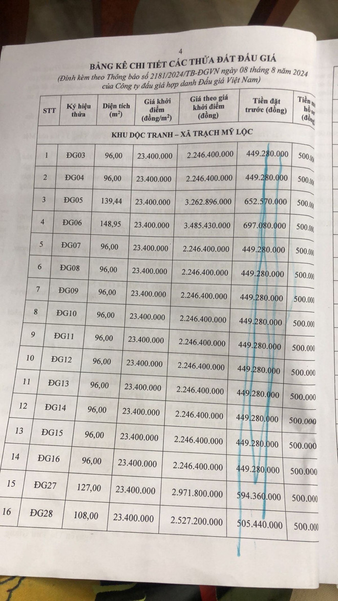 ttxvn-dau gia dat4.jpg