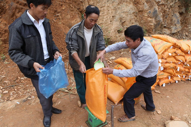 Hỗ trợ trên 14.000 tấn gạo cho nhân dân trong dịp Tết Nguyên đán ảnh 1