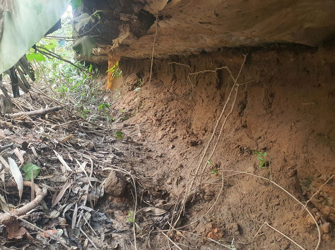 ttxvn_de_bao_cuu_vinh_dinh 2.jpg