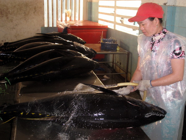 Ứng dụng khoa học trong bảo quản, chế biến nông sản-thực phẩm ảnh 1