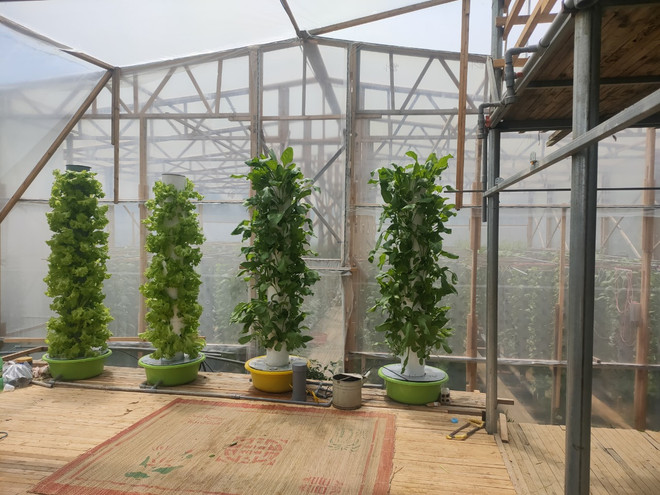 Mô hình vườn rau khí canh sử dụng điện Mặt Trời tại Lâm Đồng ảnh 2