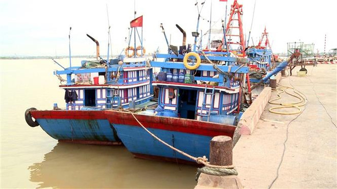 Tàu thuyền neo đậu tại khu vực Cửa Hội, thị xã Cửa Lò (Nghệ An). (Ảnh: Tá Chuyên/TTXVN) Các tỉnh từ Quảng Ninh đến Hà Tĩnh chủ động ứng phó với bão Saola ảnh 1