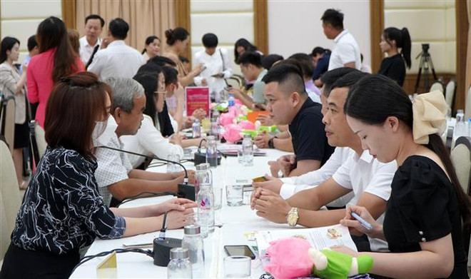 Kết nối giao thương giữa doanh nghiệp Đồng Tháp và tỉnh Quảng Tây ảnh 2