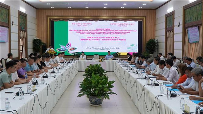 Kết nối giao thương giữa doanh nghiệp Đồng Tháp và tỉnh Quảng Tây ảnh 1