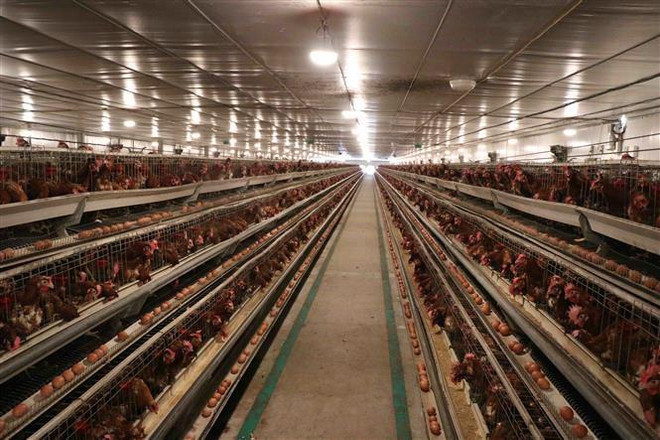 Hà Nội và câu chuyện xây dựng nông thôn mới với tầm nhìn xa ảnh 3