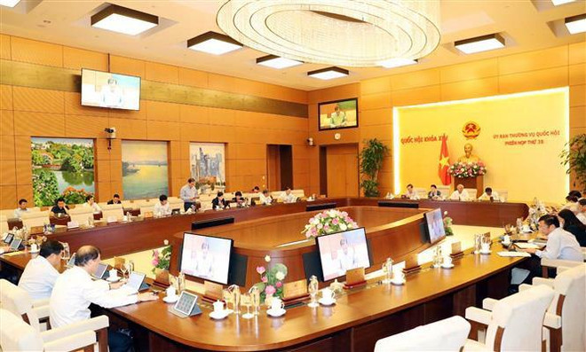 Cân nhắc đưa hộ kinh doanh vào dự thảo Luật Doanh nghiệp sửa đổi ảnh 1