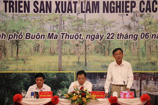 Thứ trưởng Hà Công Tuấn: Xuất khẩu lâm sản sẽ không thấp hơn 12 tỷ USD ảnh 2