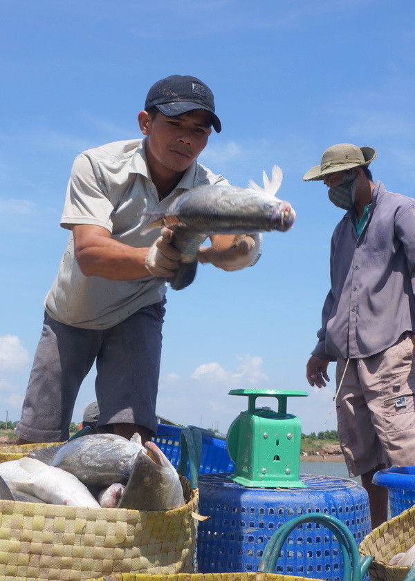 Metro giúp nông dân chuyển đổi VietGAP trong nuôi trồng thủy sản ảnh 2
