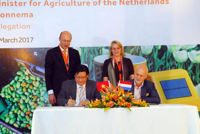 Hà Lan muốn giúp Việt Nam phát triển nông nghiệp bền vững ảnh 1