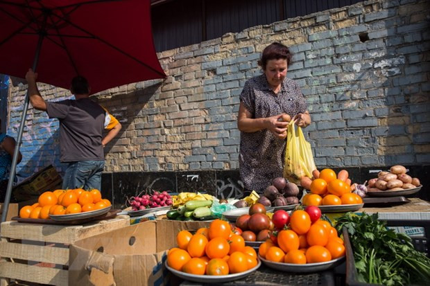 IMF và Ukaine đạt thỏa thuận trên nguyên tắc về gói viện trợ 5 tỷ USD ảnh 1