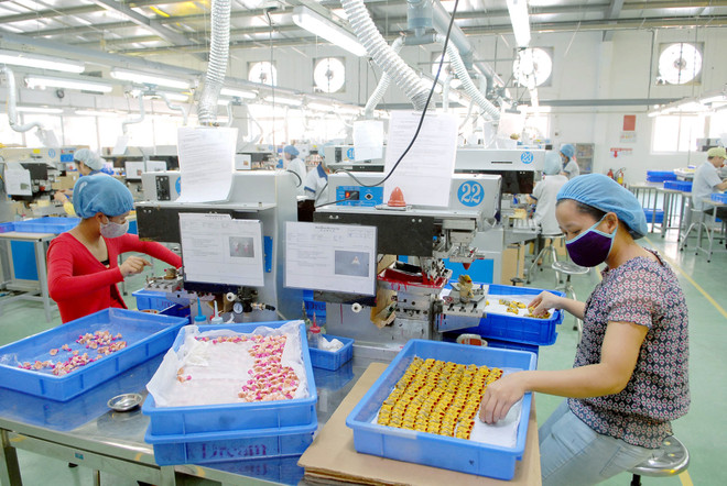 TP. HCM: Giới thiệu cho doanh nghiệp thay đổi về thuế, hải quan ảnh 1