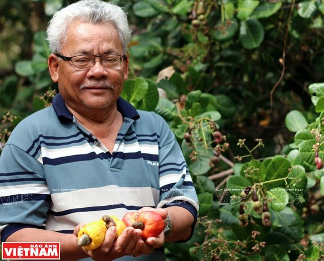 Câu chuyện của nông dân sản xuất giỏi cấp quốc gia Đỗ Văn Rồng ảnh 5