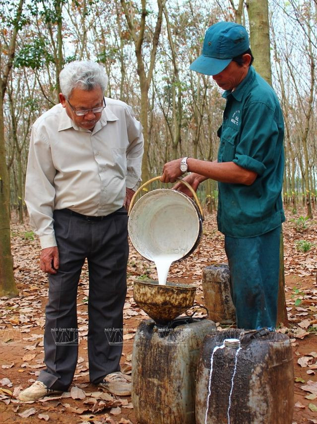 Câu chuyện của nông dân sản xuất giỏi cấp quốc gia Đỗ Văn Rồng ảnh 4