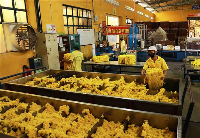 Hoạt động xuất khẩu cao su bị ảnh hưởng do như cầu giảm ảnh 2