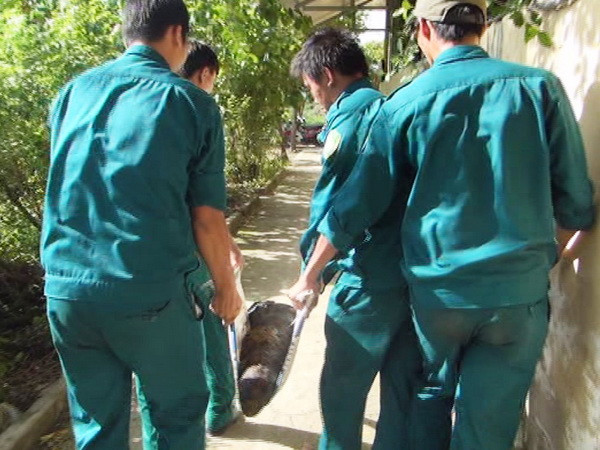 Phát hiện quả pháo 105 ly lẫn trong bùn tại TP Hồ Chí Minh ảnh 1