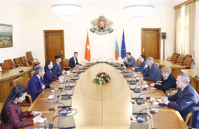 Phó Chủ tịch nước Võ Thị Ánh Xuân hội kiến Quyền Thủ tướng Bulgaria Stefan Yanev. (Ảnh: Phương Hoa/TTXVN) Đề nghị Bulgaria ủng hộ việc EU gỡ bỏ thẻ vàng với thủy sản Việt Nam ảnh 1