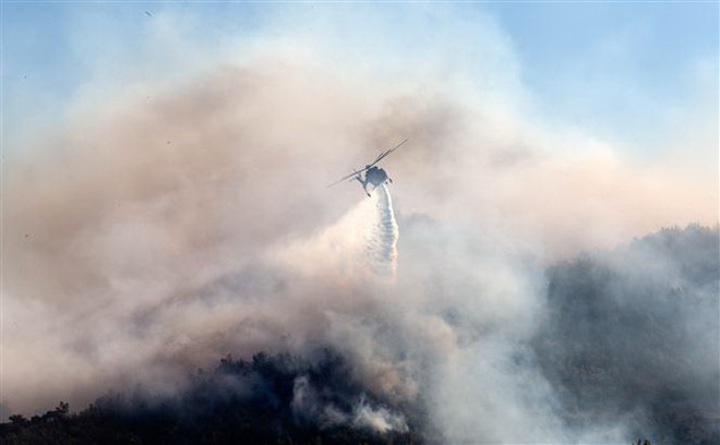 Các đám cháy rừng lại bùng phát trên đảo Evia của Hy Lạp ảnh 1