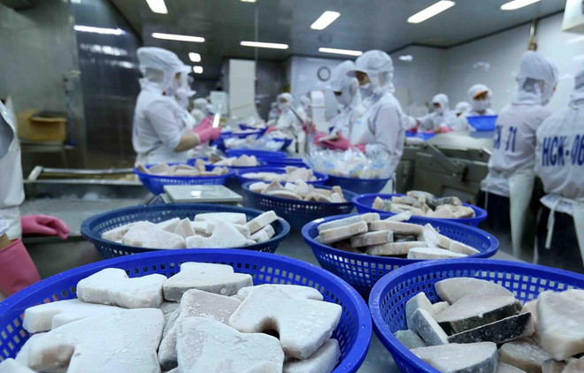 JICA: Việt Nam đang giữ vững nhịp độ tăng trưởng vượt trội ảnh 1