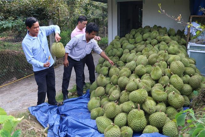 Bộ Kế hoạch và Đầu tư đưa ra kịch bản tăng trưởng quý 3 và cả năm ảnh 2