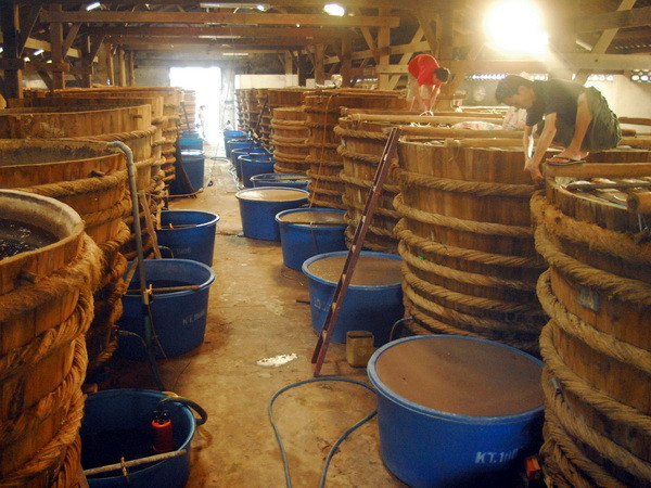 Sở hữu trí tuệ và thương hiệu cho Campuchia, Lào, Myanmar, Việt Nam ảnh 1