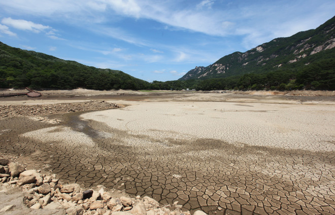 Hàn Quốc kêu gọi hai miền Triều Tiên chung tay chống thiên tai ảnh 1