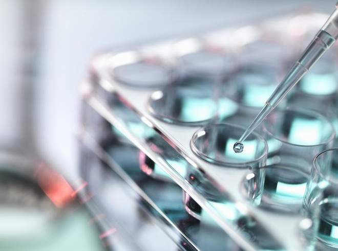 Cuộc chạy đua phát triển vaccine COVID-19 chống lại biến thể mới ảnh 1