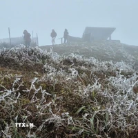 Hiện tượng băng giá tại Mẫu Sơn, tỉnh Lạng Sơn. (Ảnh minh họa. Nguồn: TTXVN phát)