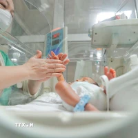 Phấn đấu tăng trung bình 2% tổng tỷ suất sinh trên toàn quốc mỗi năm. (Ảnh: Minh Quyết/TTXVN)