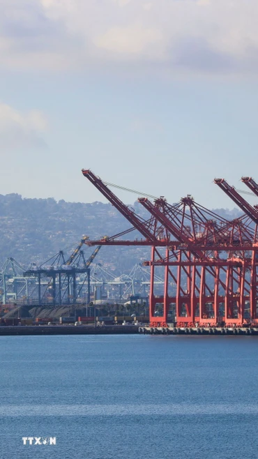 Quang cảnh cảng hàng hóa Long Beach, California, Mỹ. (Ảnh: THX/TTXVN)