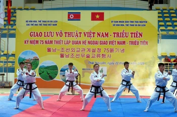 Các vận động viên đến từ Triều Tiên trình diễn võ thuật Taekwondo. (Ảnh: Thu Hằng/TTXVN)