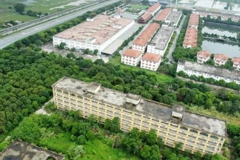 Đình chỉ hoạt động đào tạo các trình độ đại học với Trường Đại học Hà Hoa Tiên